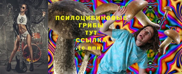 a pvp Заволжье