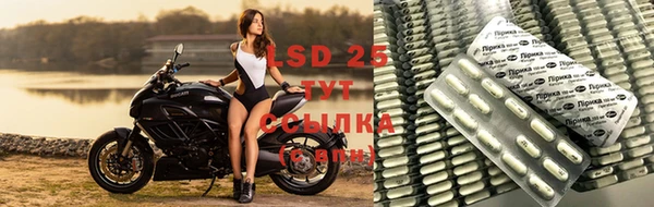 дмт Зерноград